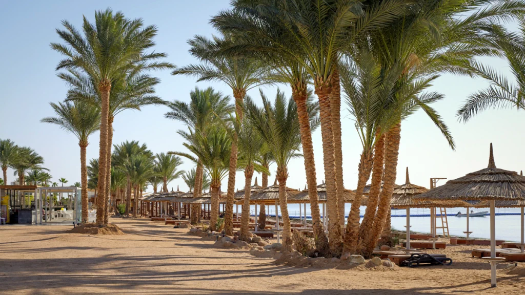 الفندق "كورال سي إمبريال" كورال سي سينساتوري - شرم الشيخ